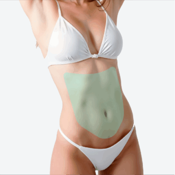 Abdomen